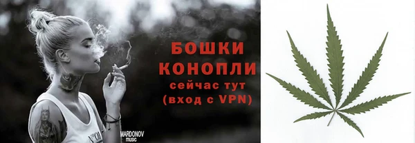 Альфа ПВП Бородино