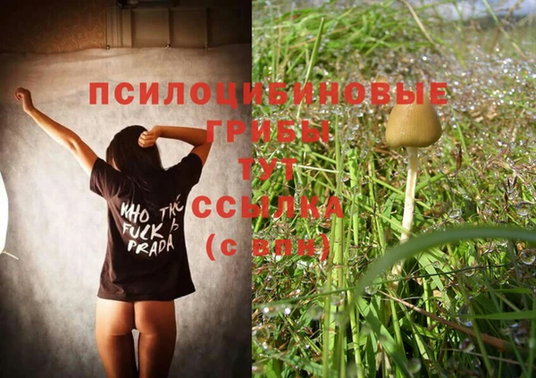 Альфа ПВП Бородино