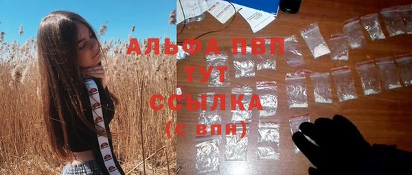 Альфа ПВП Бородино