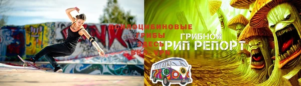 Альфа ПВП Бородино